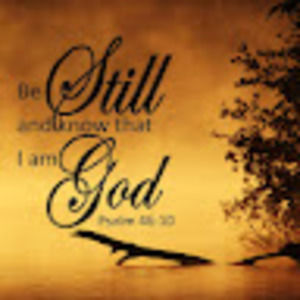 Meet your Posher, Joyce